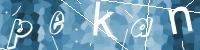 SELFCAPTCHA
